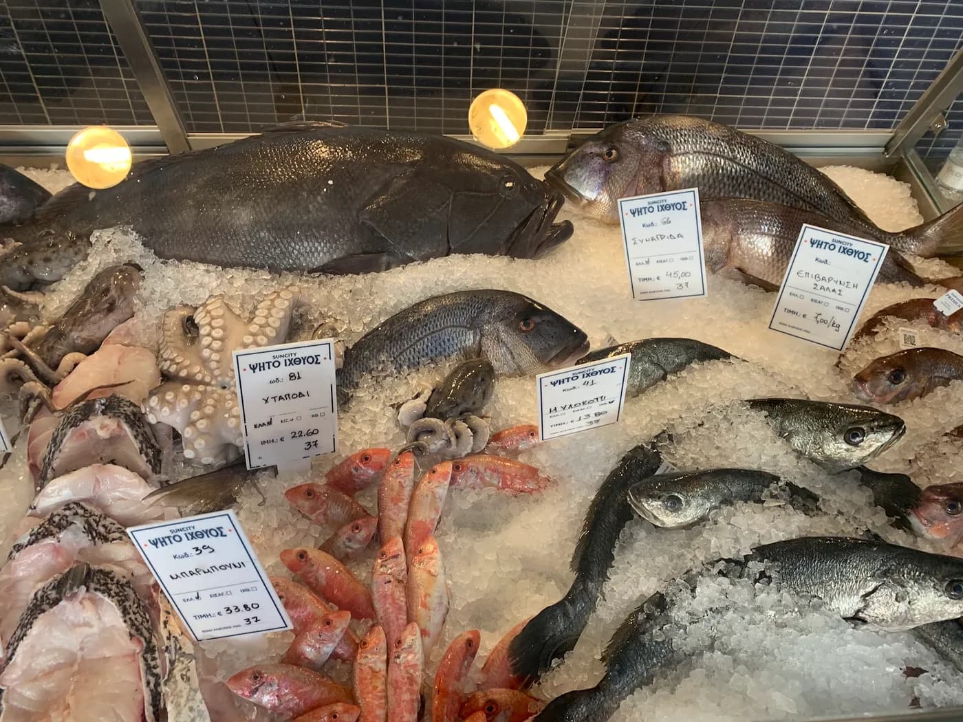 Fresh fish priced up on our counter