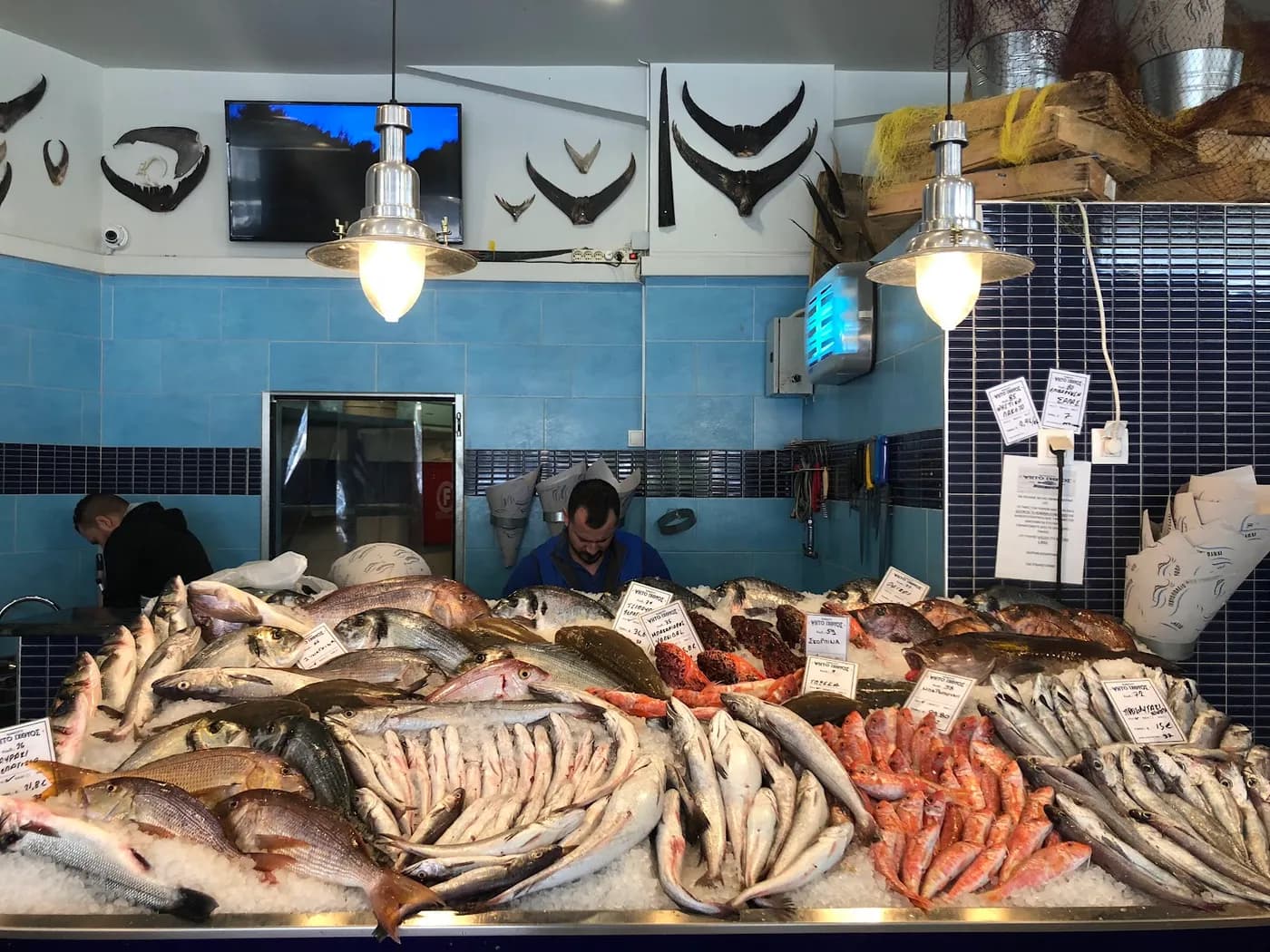 Our counter, with the day's fresh fish on ice