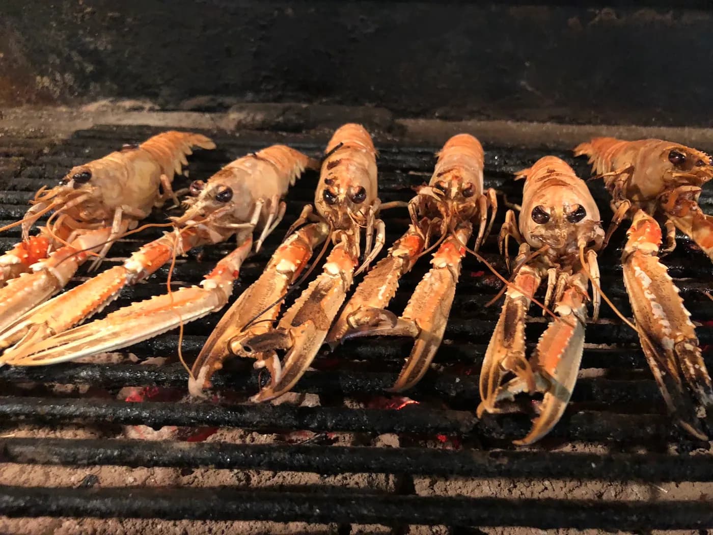 Langoustines grilled over charcoal